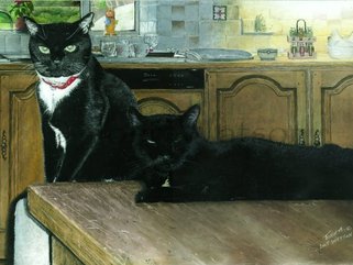 Two Cats, (pastel drawing) Image.